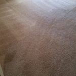carpet cleaning in orange county california