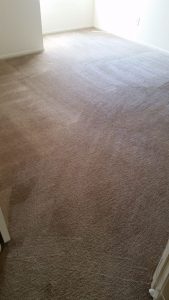 carpet cleaning in orange county california
